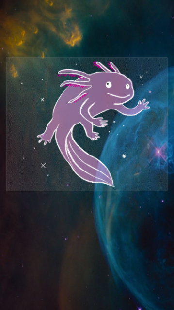 Axolotl